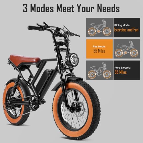1000W 20" Fat Tire 48V 17.5AH Removable Battery Electric Bike D412524