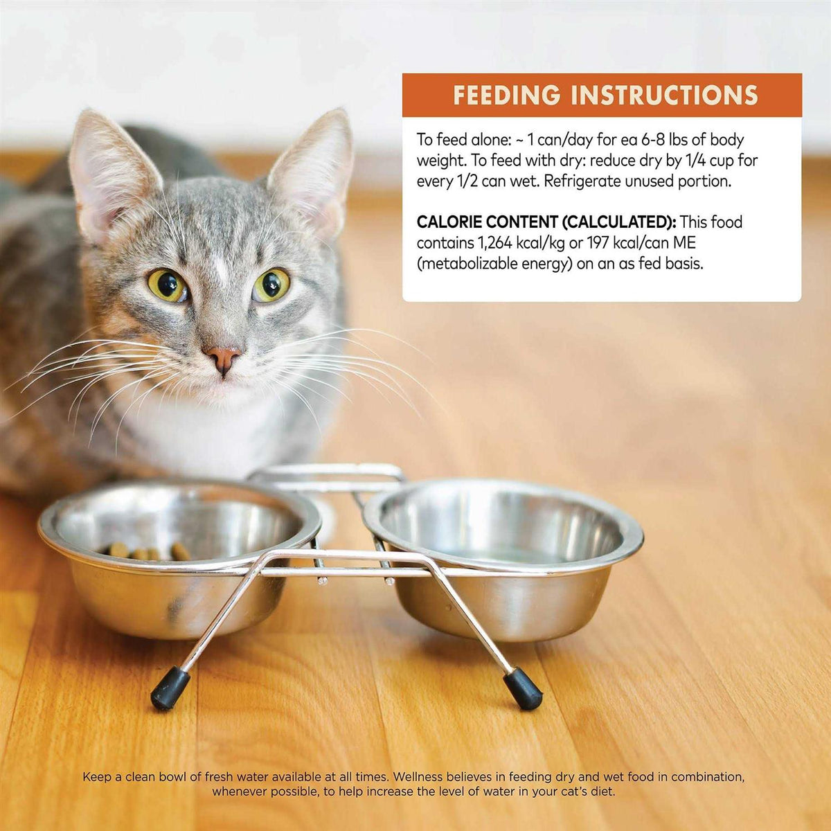 95% Cat Food Z231