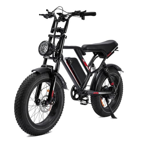 1000W 20" Fat Tire 48V 17.5AH Removable Battery Electric Bike D412524