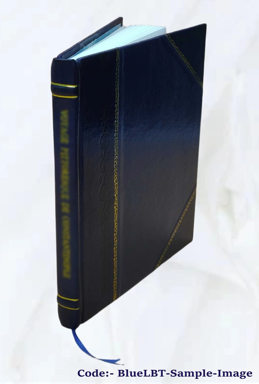Leather Bound Book Z572