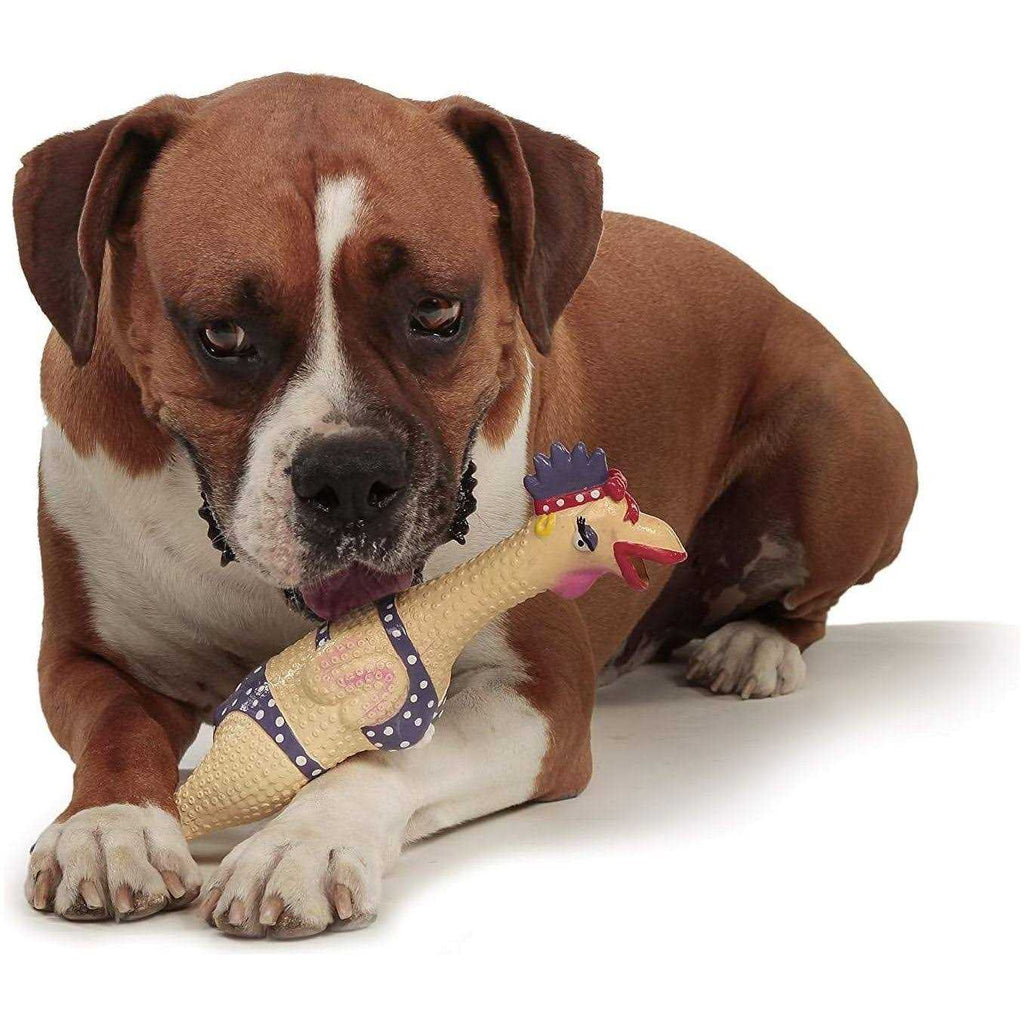 Chicken Dog Toy Q7936