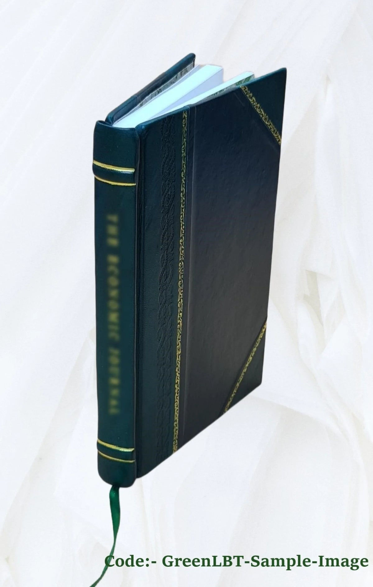 Leather Bound Book Z572