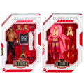 Complete Set of 2 WWE Wrestling Action Figures A388