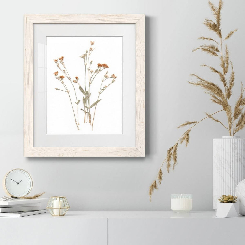 Walnut Framed Print 23X32 B753