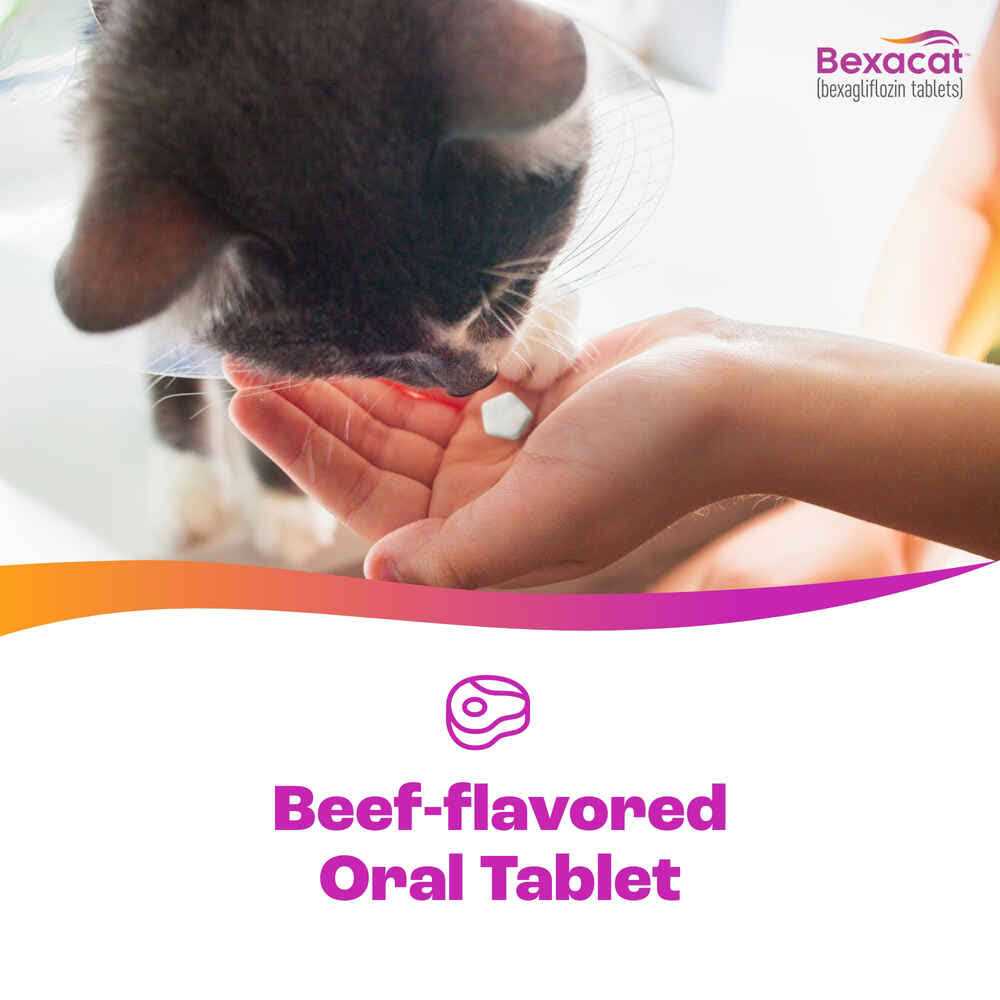 15 mg Bexacat for Cats Q779