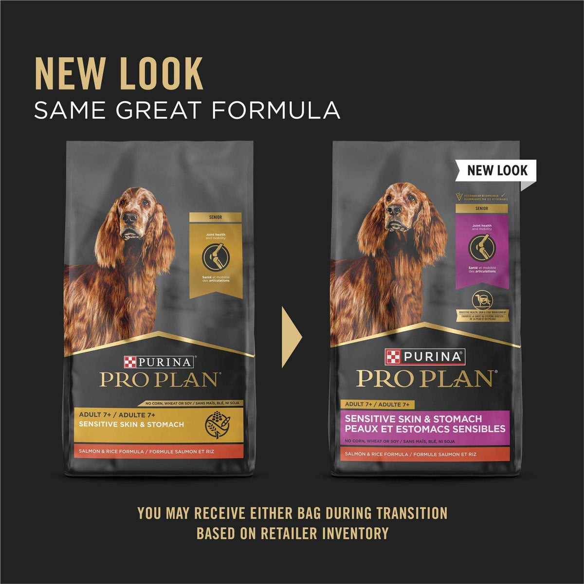 Salmon & Rice Senior Dry Dog Food R4641