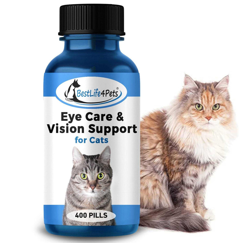 Eye Care and Vision Support for Cats R82488
