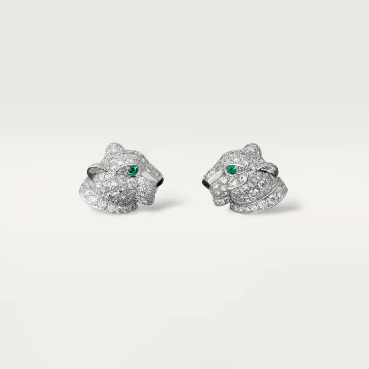 Earrings C20050
