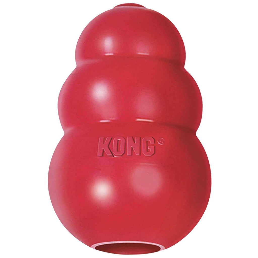 Dog Toy V92790