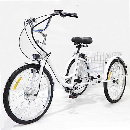 350W 36V Electric Tricycle with Large Basket Y799902