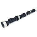 Oval Track Camshaft D859825