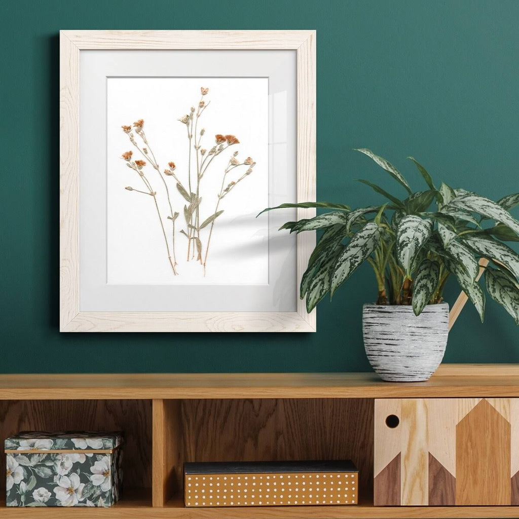 Walnut Framed Print 23X32 B753