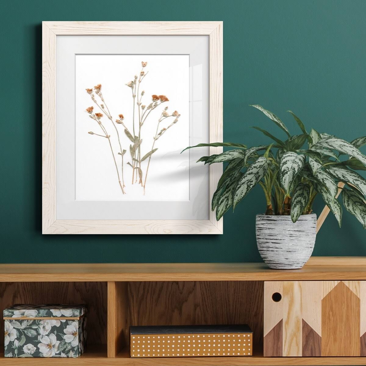 Walnut Framed Print 23X32 B753