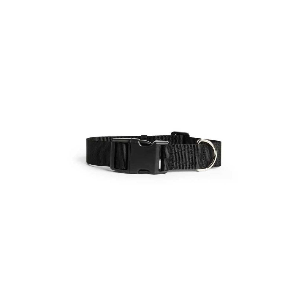 Adjustable Dog Collar Q667212