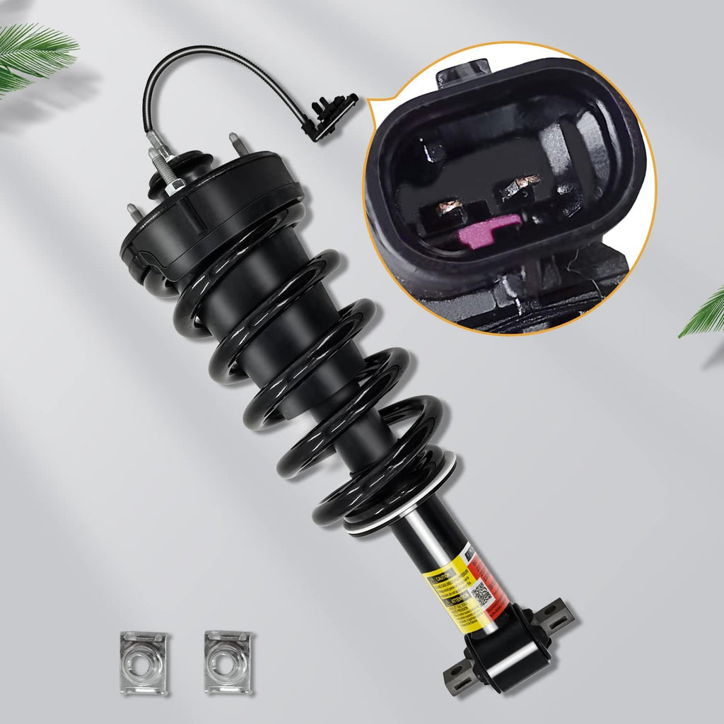 Front Shock Absorber Magnetic Strut Assembly R305