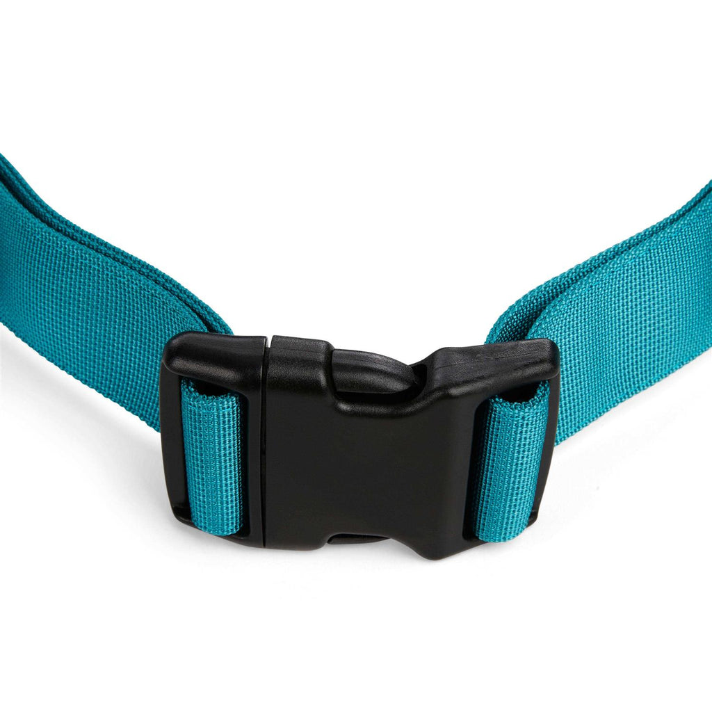 Running Belt & Leash Set for Dogs N834387