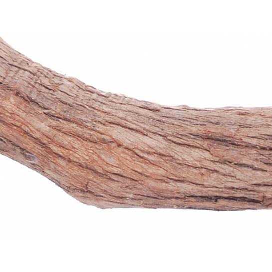 Hardwood Bird Perch V39849