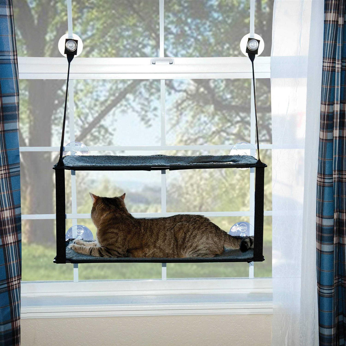 Window Mounted Cat Sill R3262