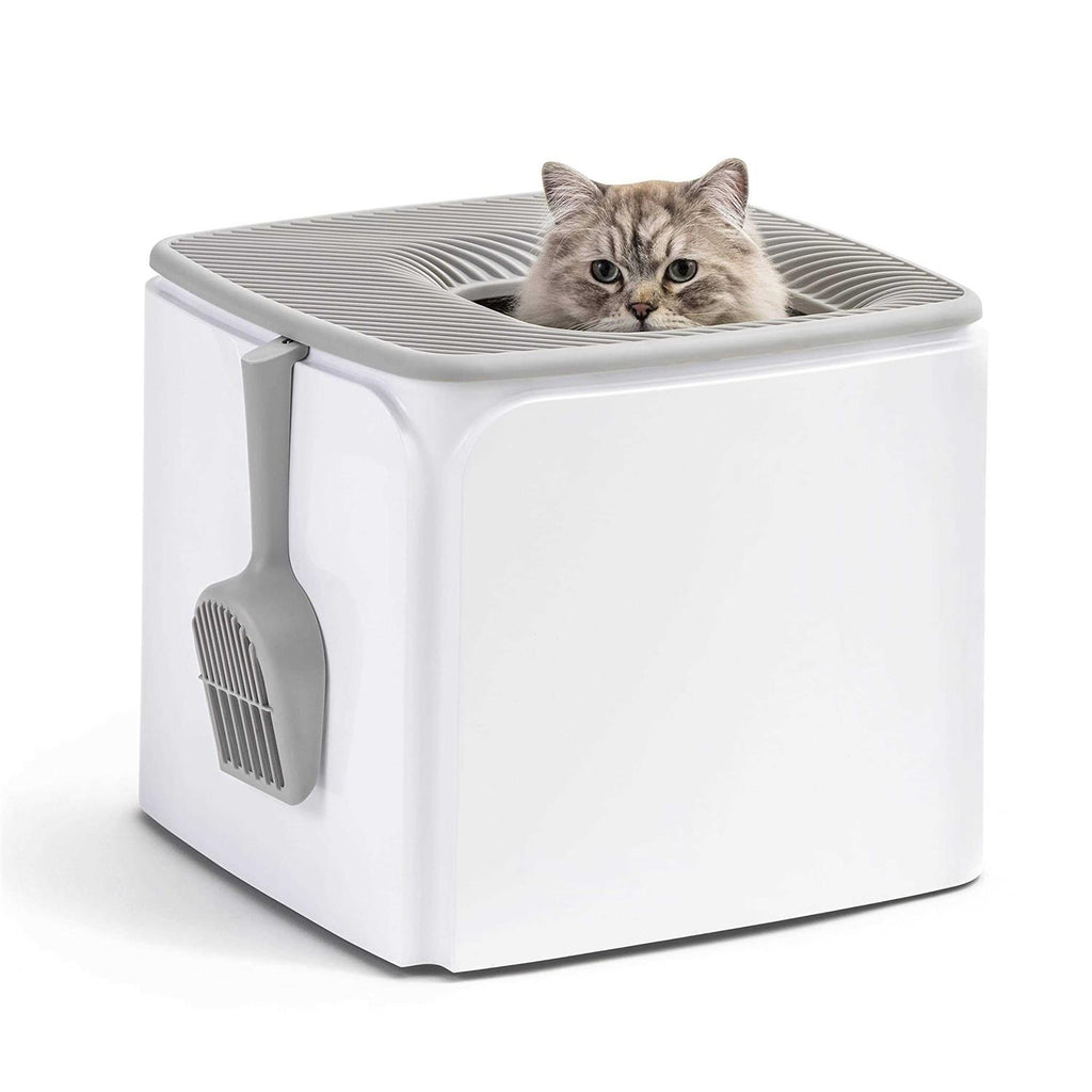 Square Top Entry Cat Litter Box with Scoop U3770