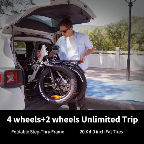 750W 48V 768WH Removable Battery Foldable 20''×4.0" Fat Tire Electric Bike D399