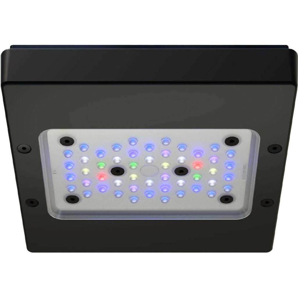 LED Light Fixture T126
