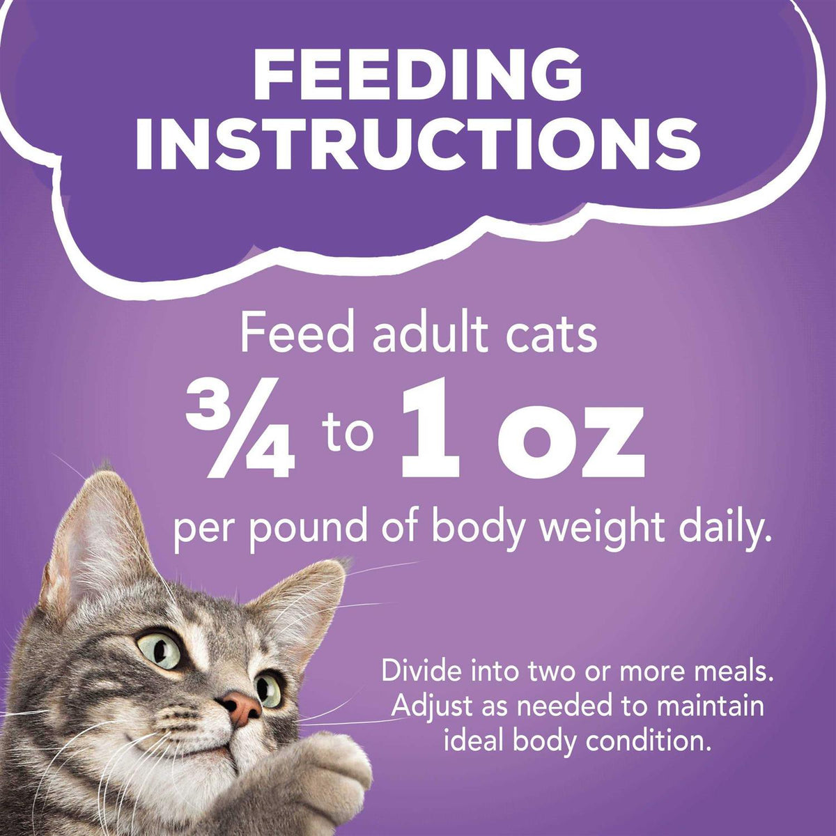 Wet Cat Food A47429