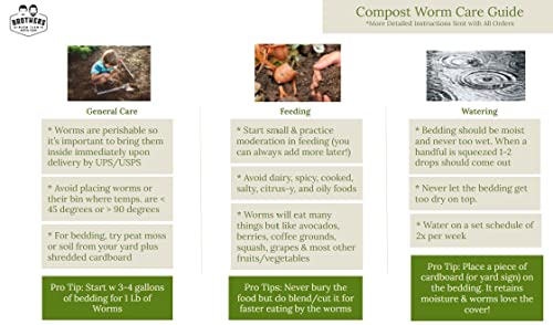 1/2 LB Red Wiggler Compost Worm Blend C627