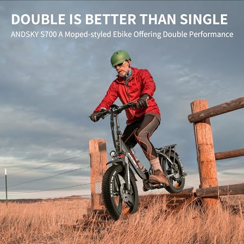750W 48V 768WH Removable Battery Foldable 20''×4.0" Fat Tire Electric Bike D399