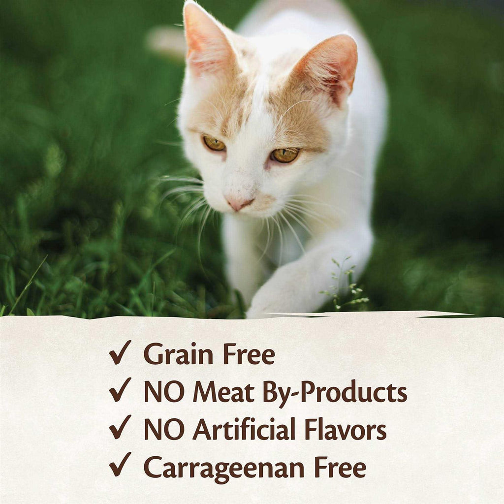 95% Cat Food Z231