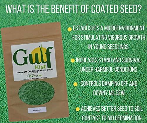 Centipede Grass Seed 1 lb Coated Seeds H74670