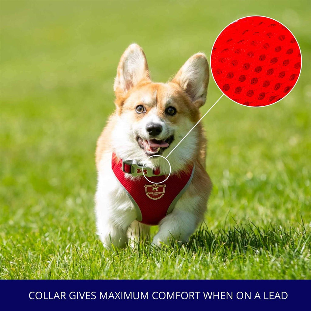Mesh Dog Collar F522102