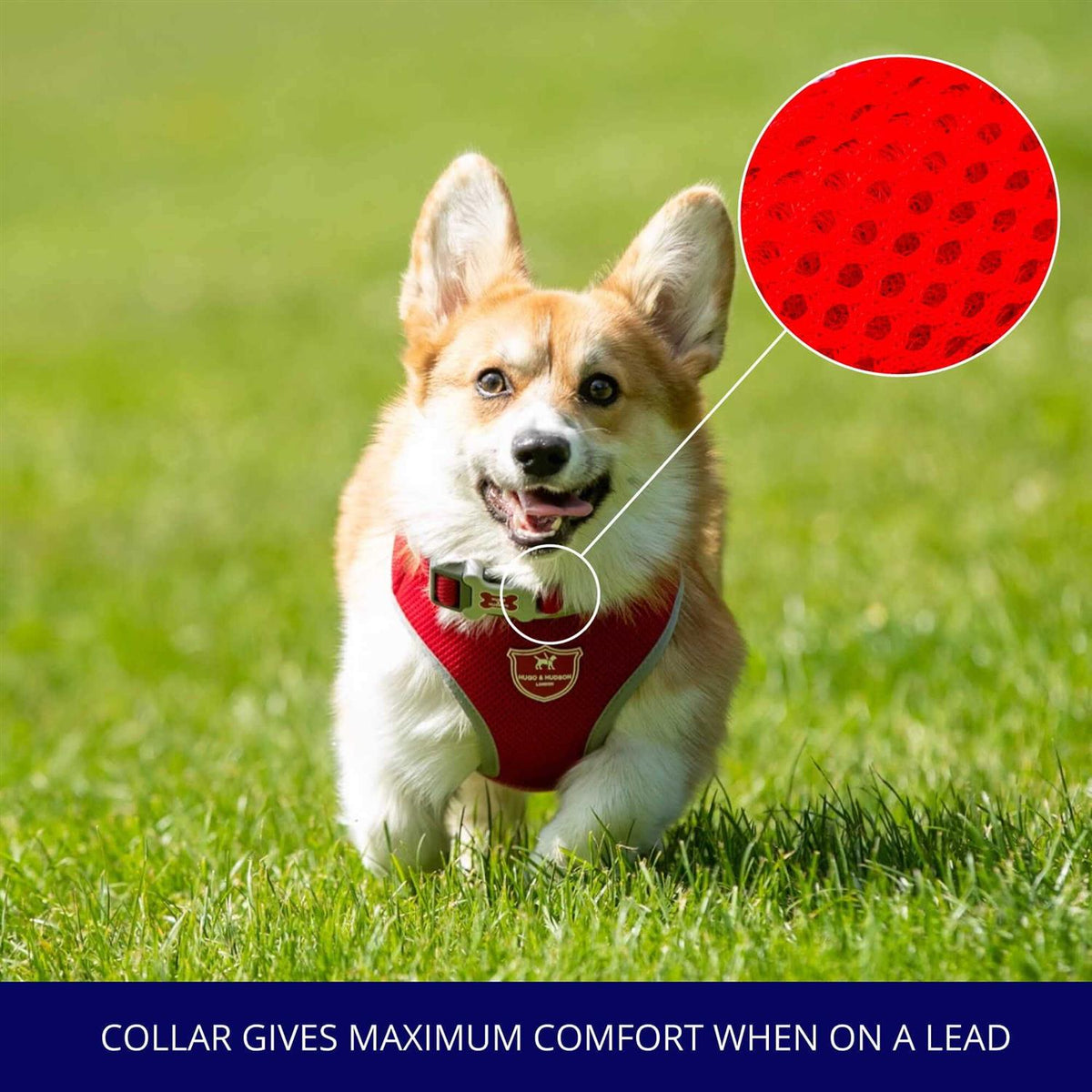Mesh Dog Collar F522102