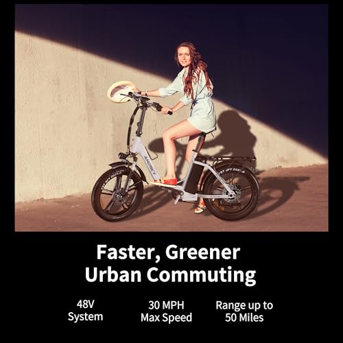 750W 48V 768WH Removable Battery Foldable 20''×4.0" Fat Tire Electric Bike D399