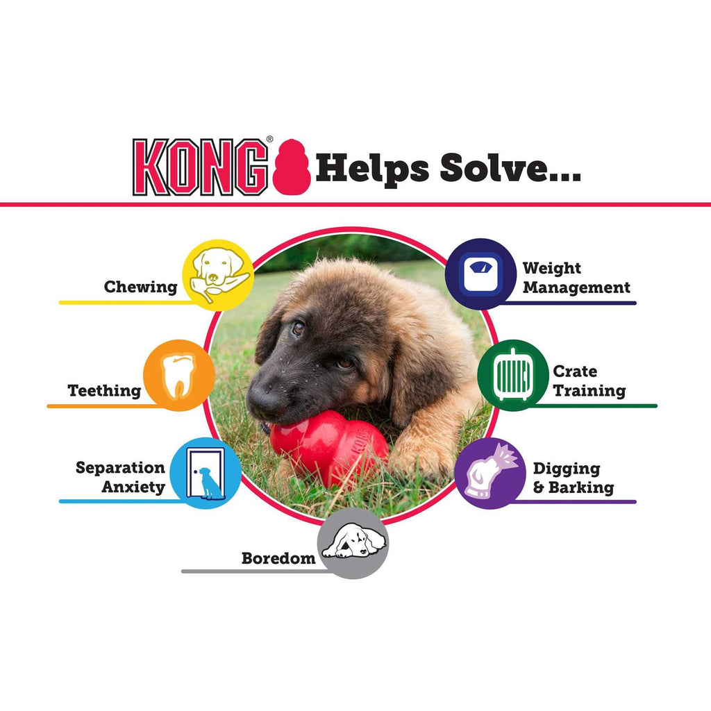 Dog Toy V92790