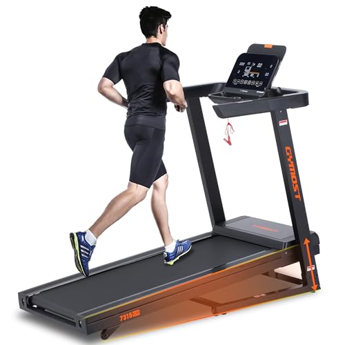 Folding Incline Treadmill with LCD Display L910547