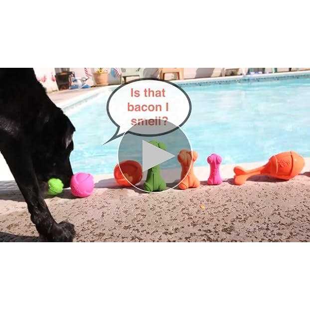 Squeaky Latex Dog Toy N68579