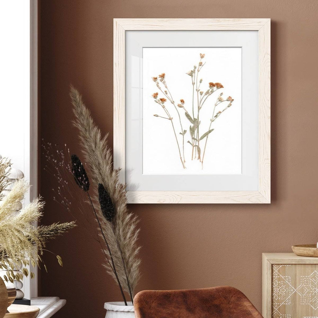Walnut Framed Print 23X32 B753