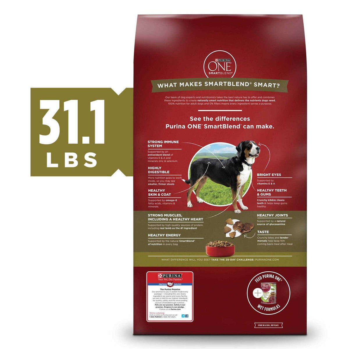 Dry Dog Food Rice Formula Q529