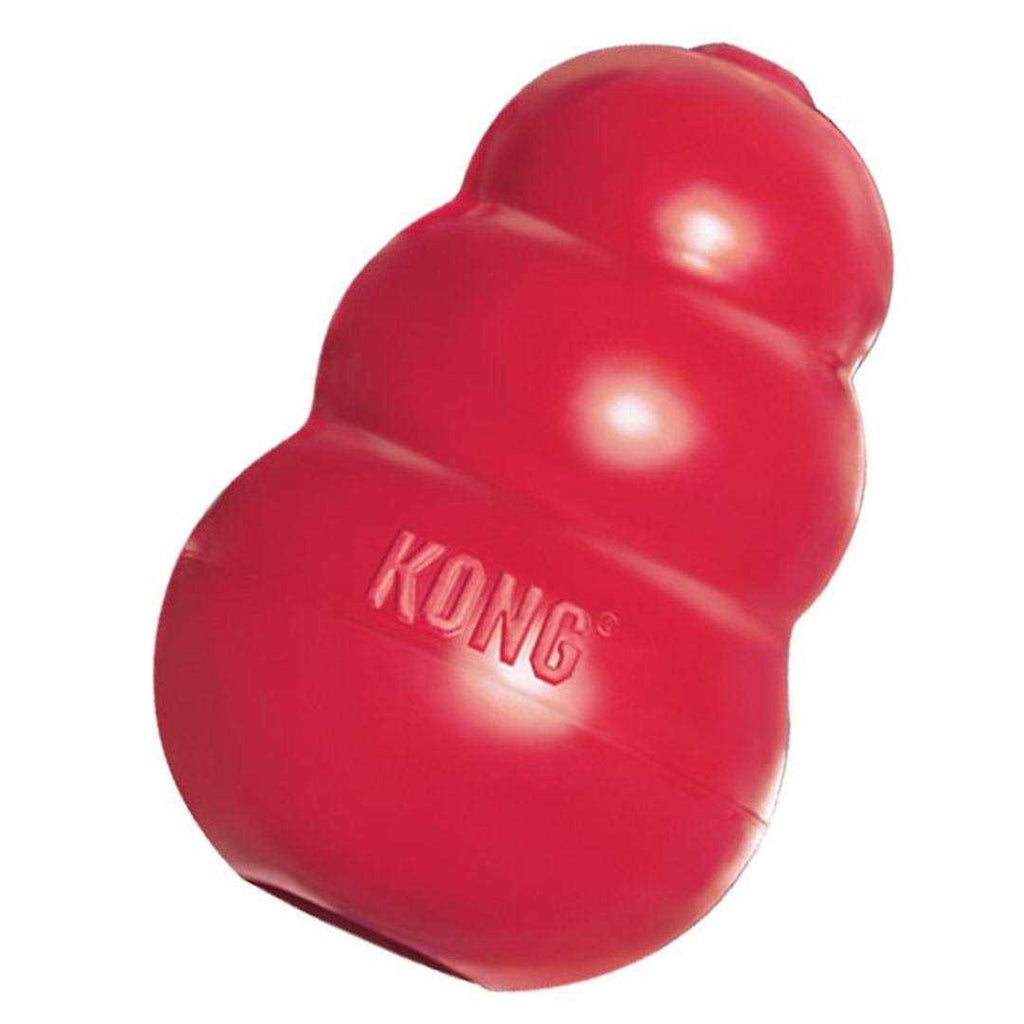 Dog Toy V92790