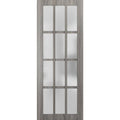 Frosted Glass 12 Lites Slab Barn Door Panel Q51116