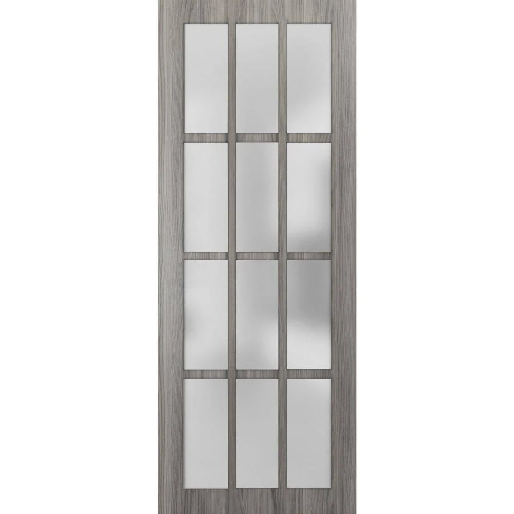 Frosted Glass 12 Lites Slab Barn Door Panel Q51116