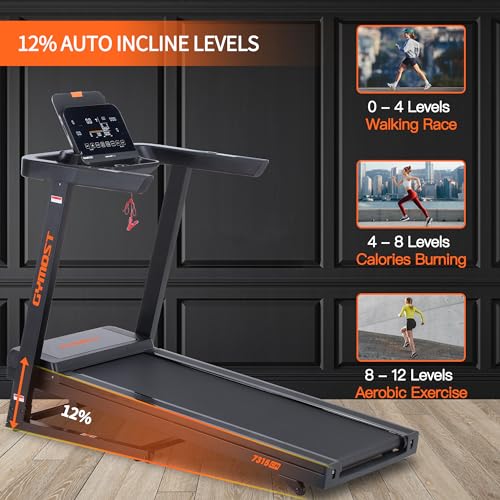Folding Incline Treadmill with LCD Display L910547