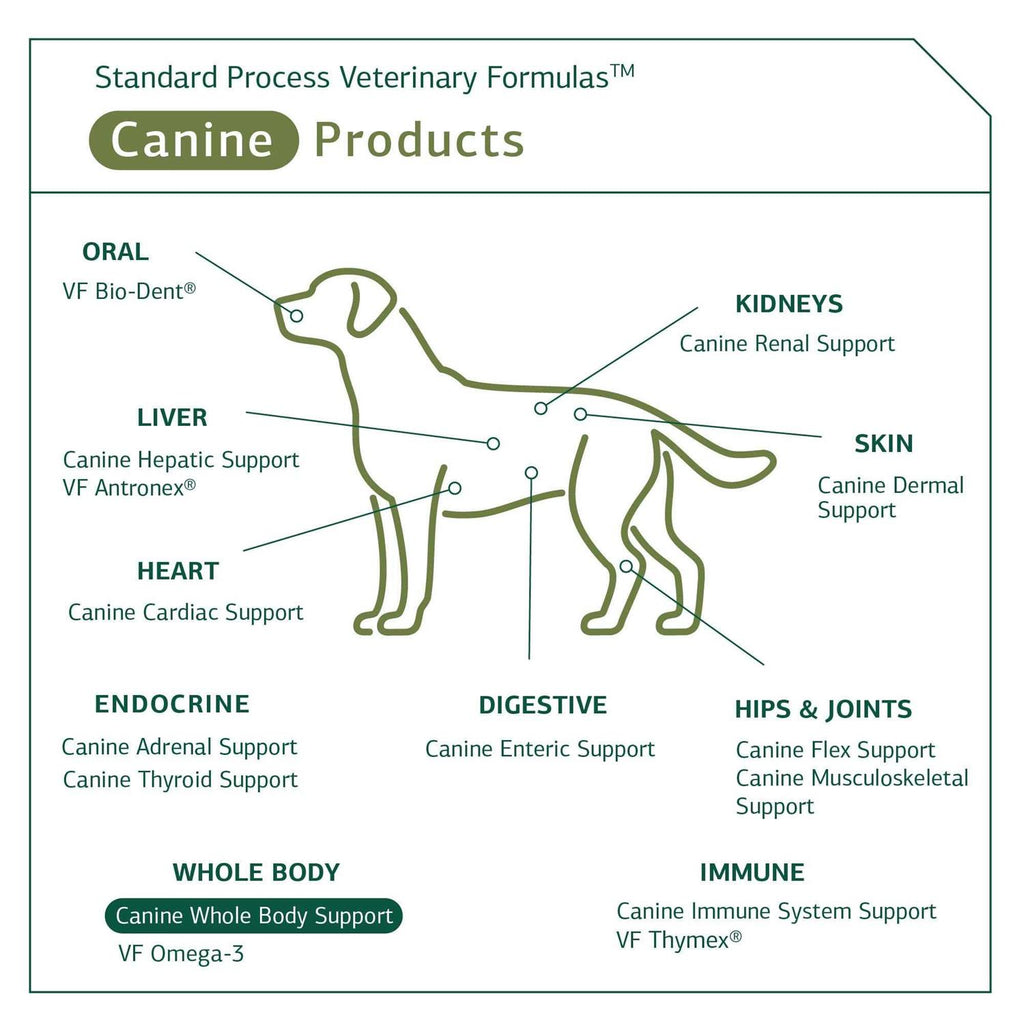 Canine Whole Body Support T77143