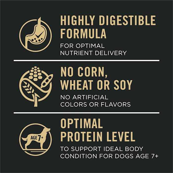 Salmon & Rice Senior Dry Dog Food R4641