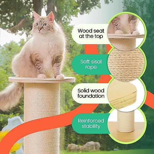 50" Tall Cat Scratching Post, 7.3" Thick Post, Solid Wood Base & Natural Sisal Rope U180109