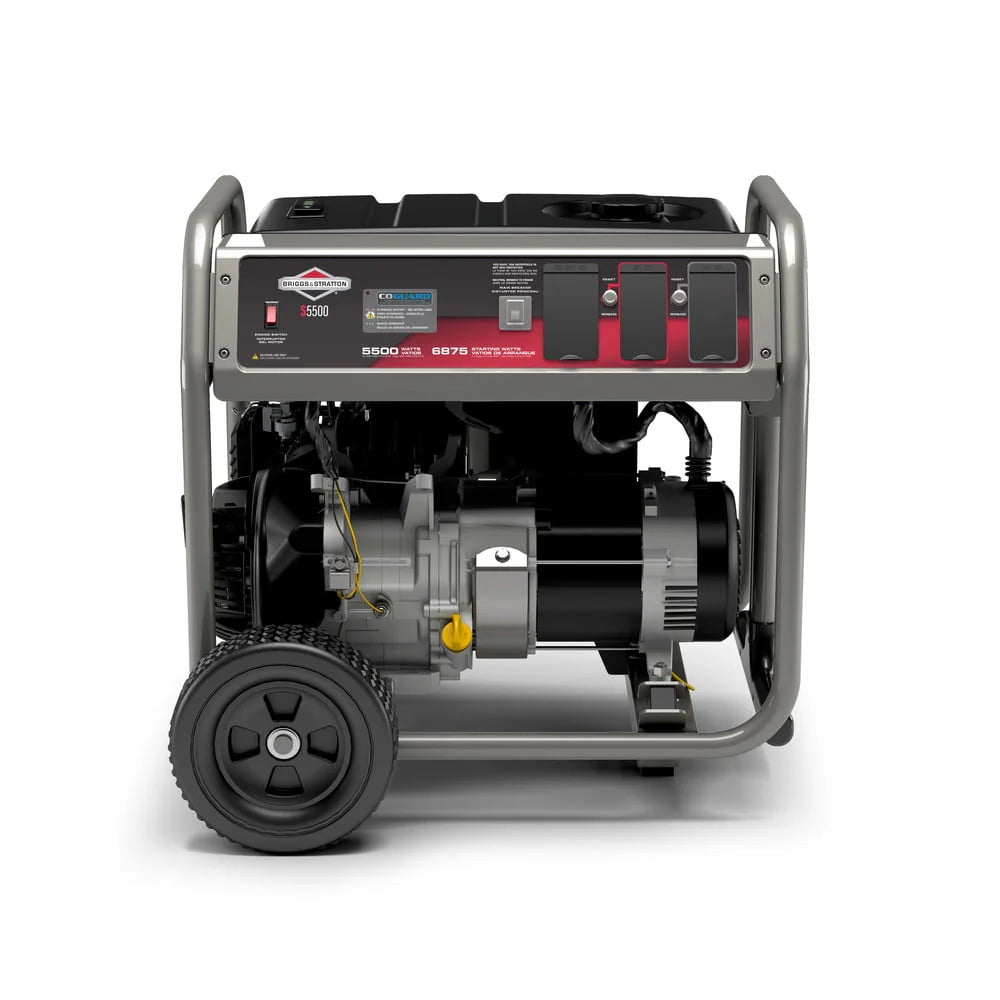 5500 Watt Portable Generator D74436