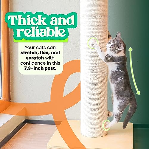 50" Tall Cat Scratching Post, 7.3" Thick Post, Solid Wood Base & Natural Sisal Rope U180109
