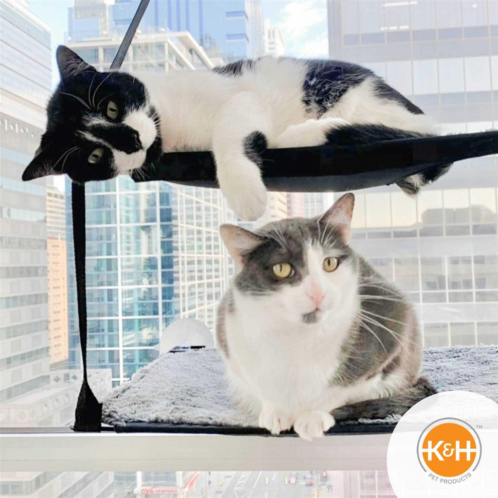 Window Mounted Cat Sill R3262