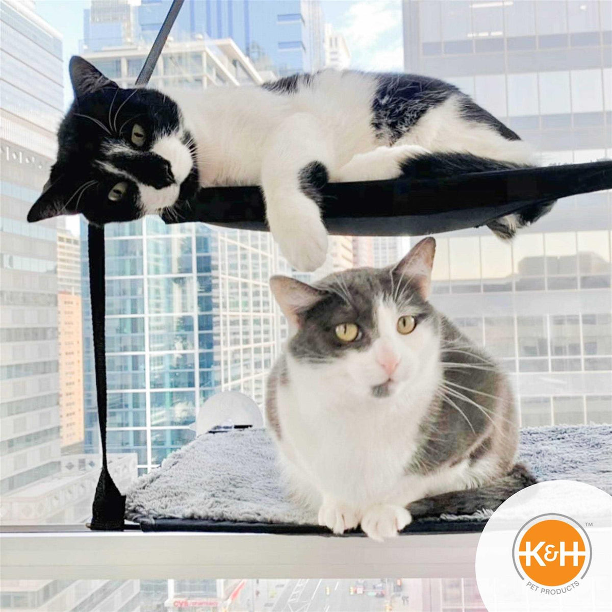 Window Mounted Cat Sill R3262