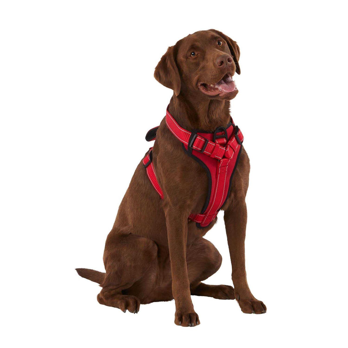 Neoprene Padded Dog Harness T9216